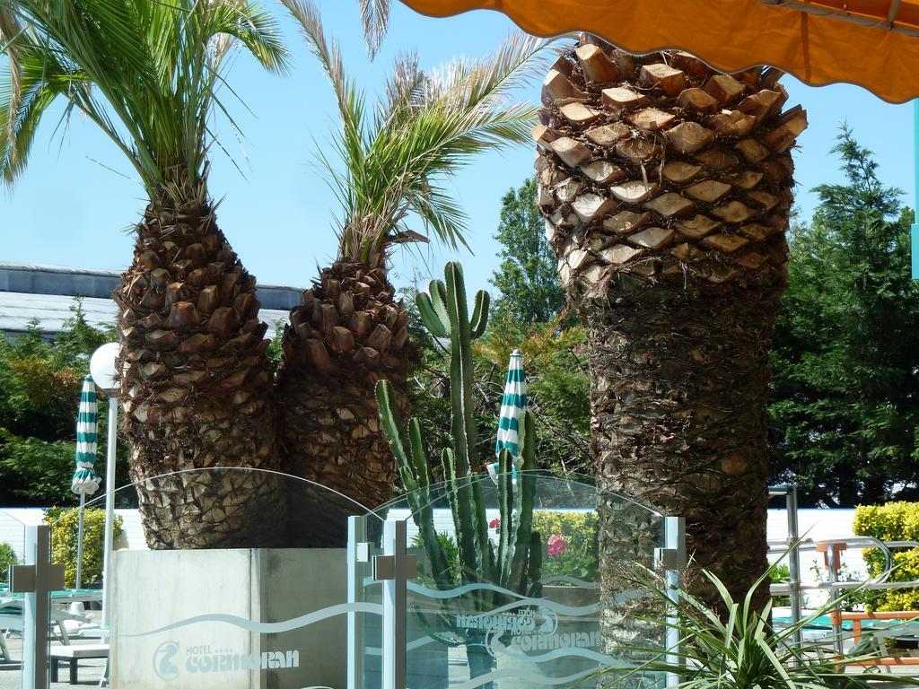 Hotel Cormoran Cattolica Exteriör bild